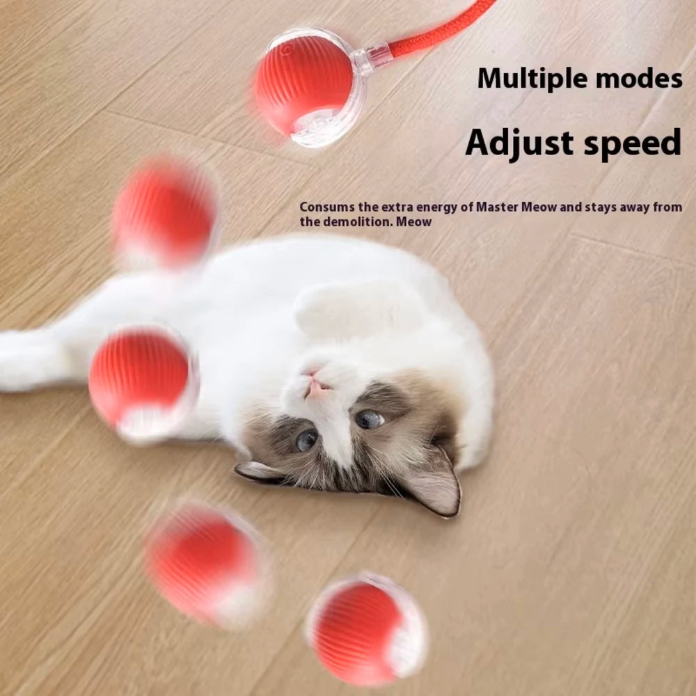 Cat Interactive Ball Toys Automatic Rolling Ball Faux Tail Rechargeable Smart Pet Electronic Toy Dog Cat Training Imitate Mouse