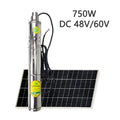 750W Solar DC48V Brushless Screw Water Pump With Built In Controller Max Water Flow 2000Liter/Hour Solar Deep Well Pump