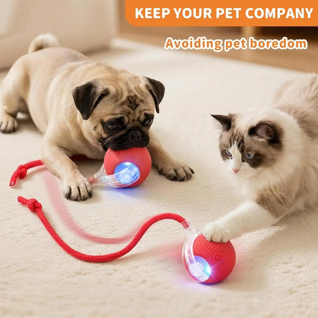 1 Piece USB Rechargeable Interactive Toy Ball For Cats, Auto Electric Rolling Ball As Birthday Gift For Dogs/Cats, Auto Smart Chewable Toy With Tail, Unicolor Smart Ball Tied To Harness, Interactive Cat Ball Toy, Indoor Cat T