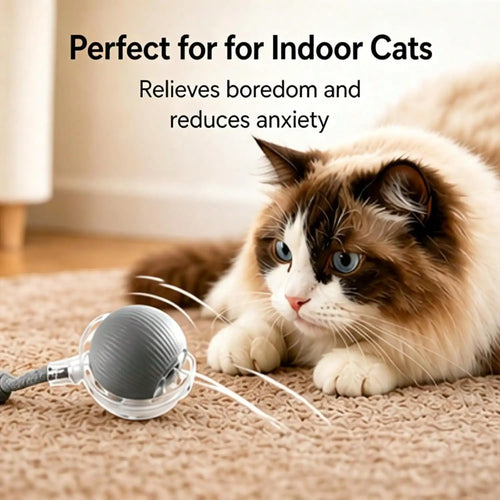 1 Piece USB Rechargeable Interactive Toy Ball For Cats, Auto Electric Rolling Ball As Birthday Gift For Dogs/Cats, Auto Smart Chewable Toy With Tail, Unicolor Smart Ball Tied To Harness, Interactive Cat Ball Toy, Indoor Cat T