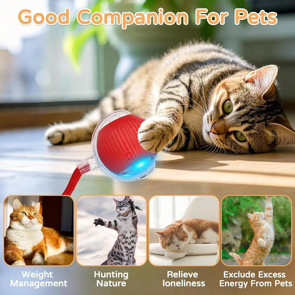 1 Piece USB Rechargeable Interactive Toy Ball For Cats, Auto Electric Rolling Ball As Birthday Gift For Dogs/Cats, Auto Smart Chewable Toy With Tail, Unicolor Smart Ball Tied To Harness, Interactive Cat Ball Toy, Indoor Cat T