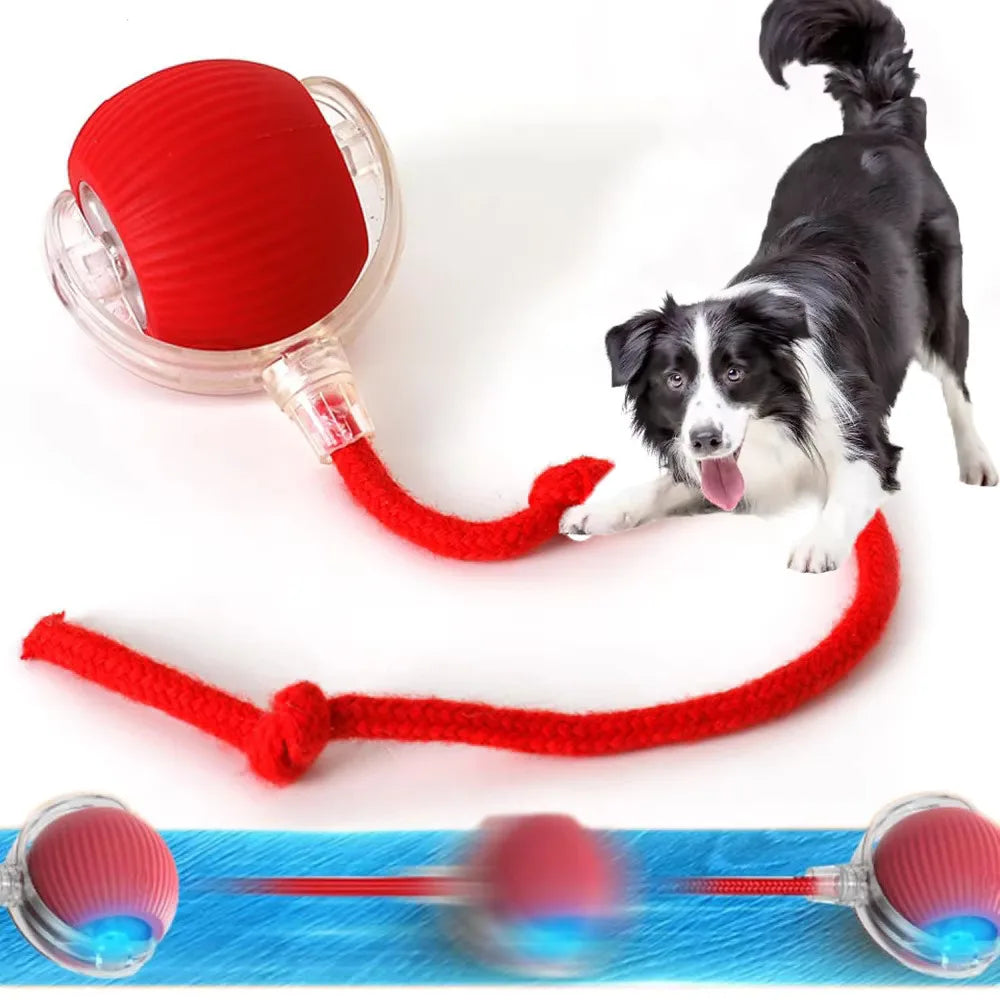 Cat Interactive Ball Toys Automatic Rolling Ball Faux Tail Rechargeable Smart Pet Electronic Toy Dog Cat Training Imitate Mouse