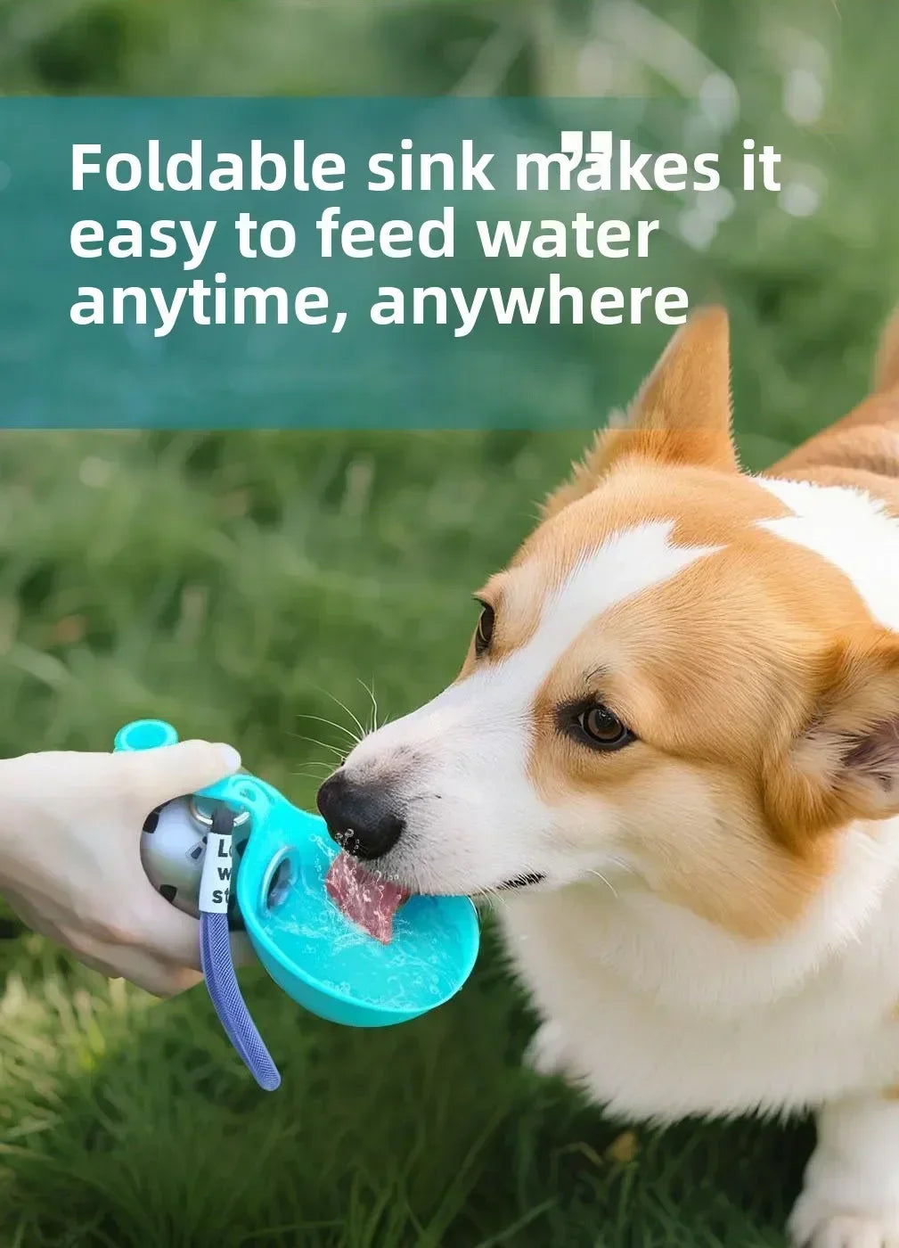 Portable Stainless Steel Pet Water Bottle with Foldable Silicone Bowl for Dogs and Cats Outdoor Walking Hiking Travel Use