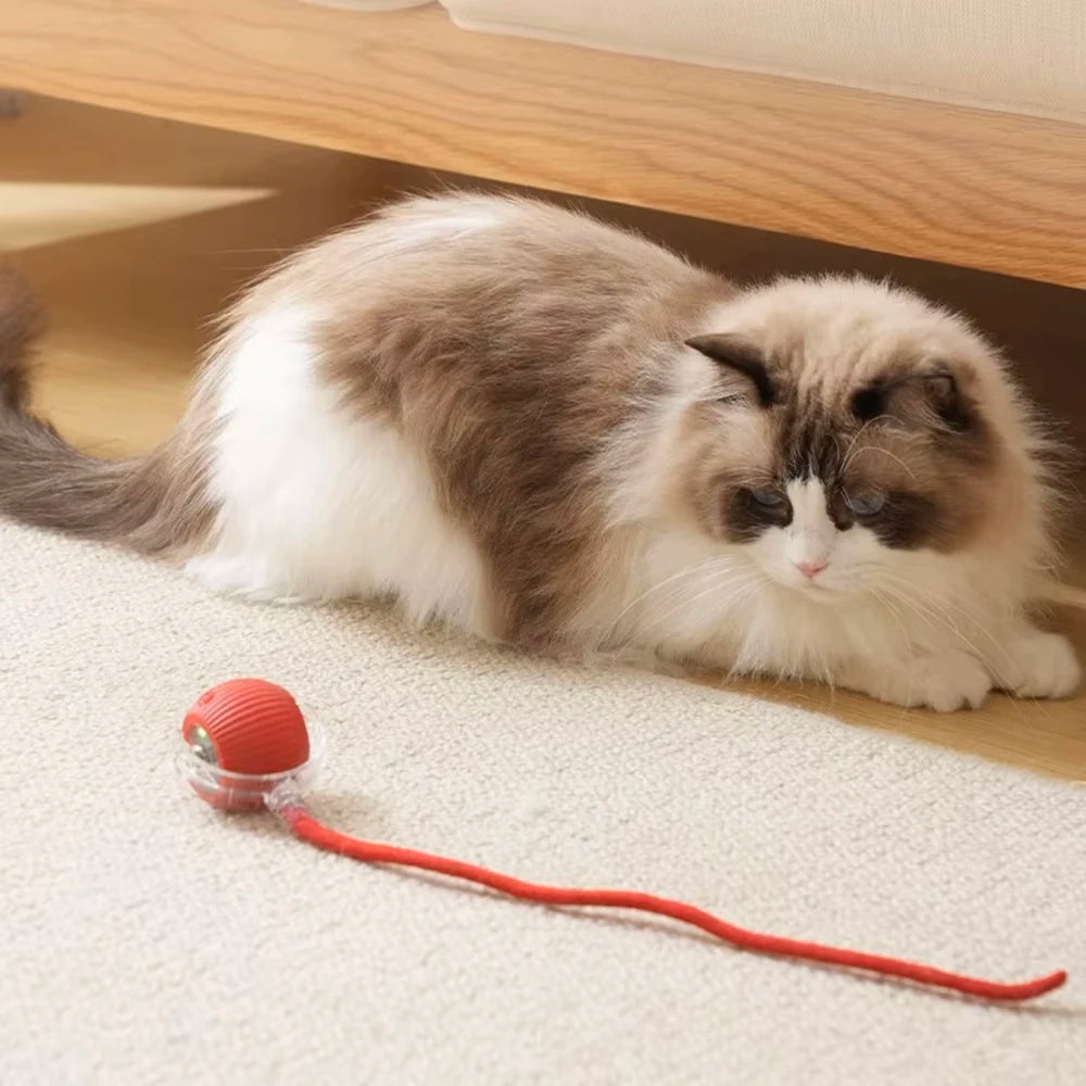 Cat Interactive Ball Toys Automatic Rolling Ball Faux Tail Rechargeable Smart Pet Electronic Toy Dog Cat Training Imitate Mouse